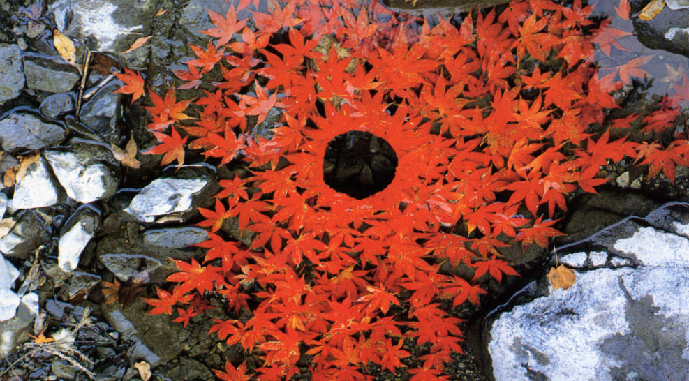 Andy Goldsworthy: Working with Time