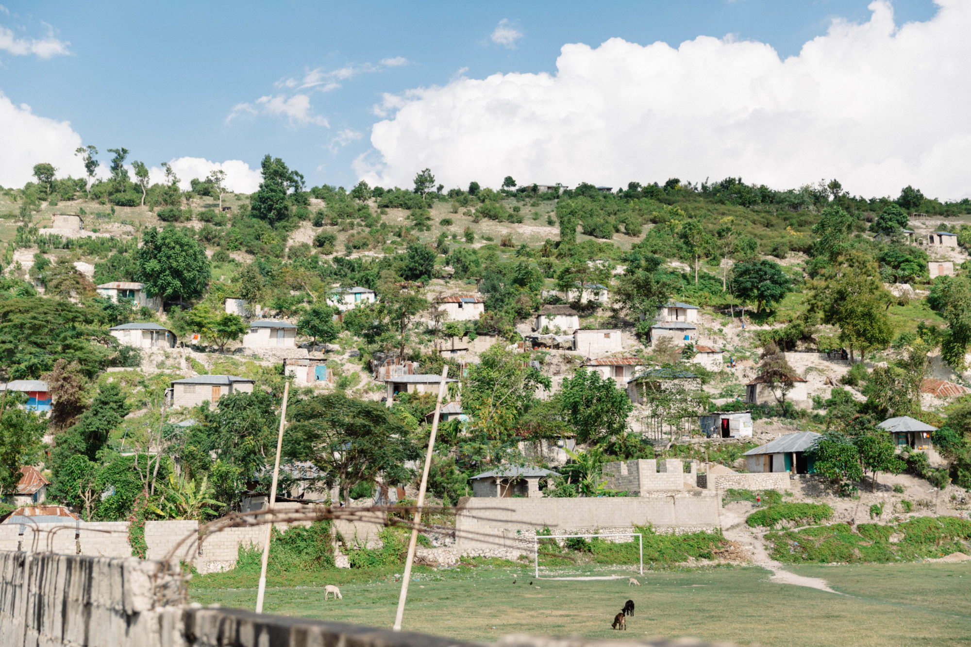 Portraits of Haiti